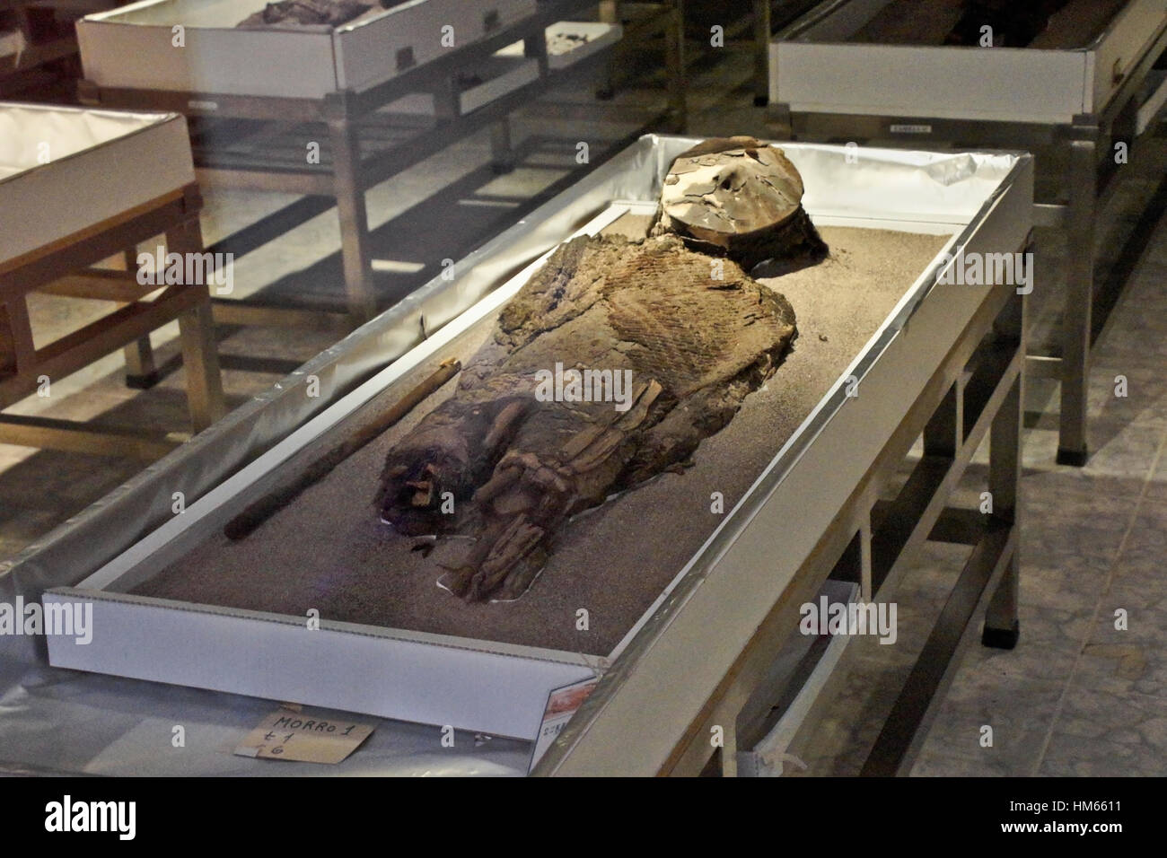 Chinchorro-Mumien in San Miguel de Azapa Archaeological Museum, Arica, Chile Stockfoto