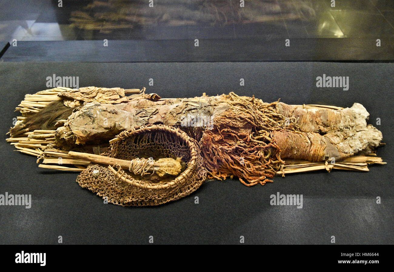 Chinchorro-Mumien in San Miguel de Azapa Archaeological Museum, Arica, Chile Stockfoto