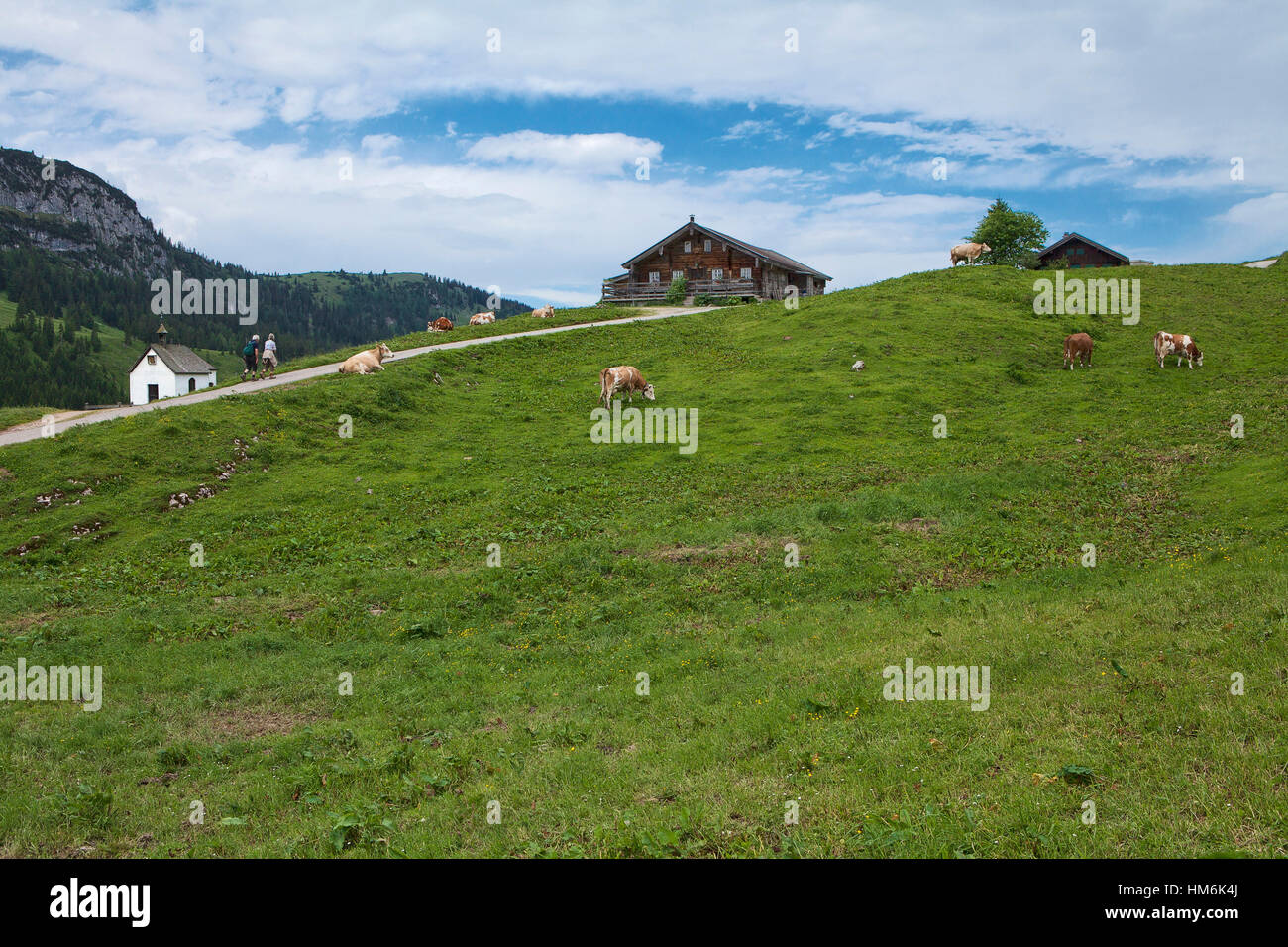 Österreich, Tirol, Thiersee (Dorf), Ackernalm (Alp) Stockfoto