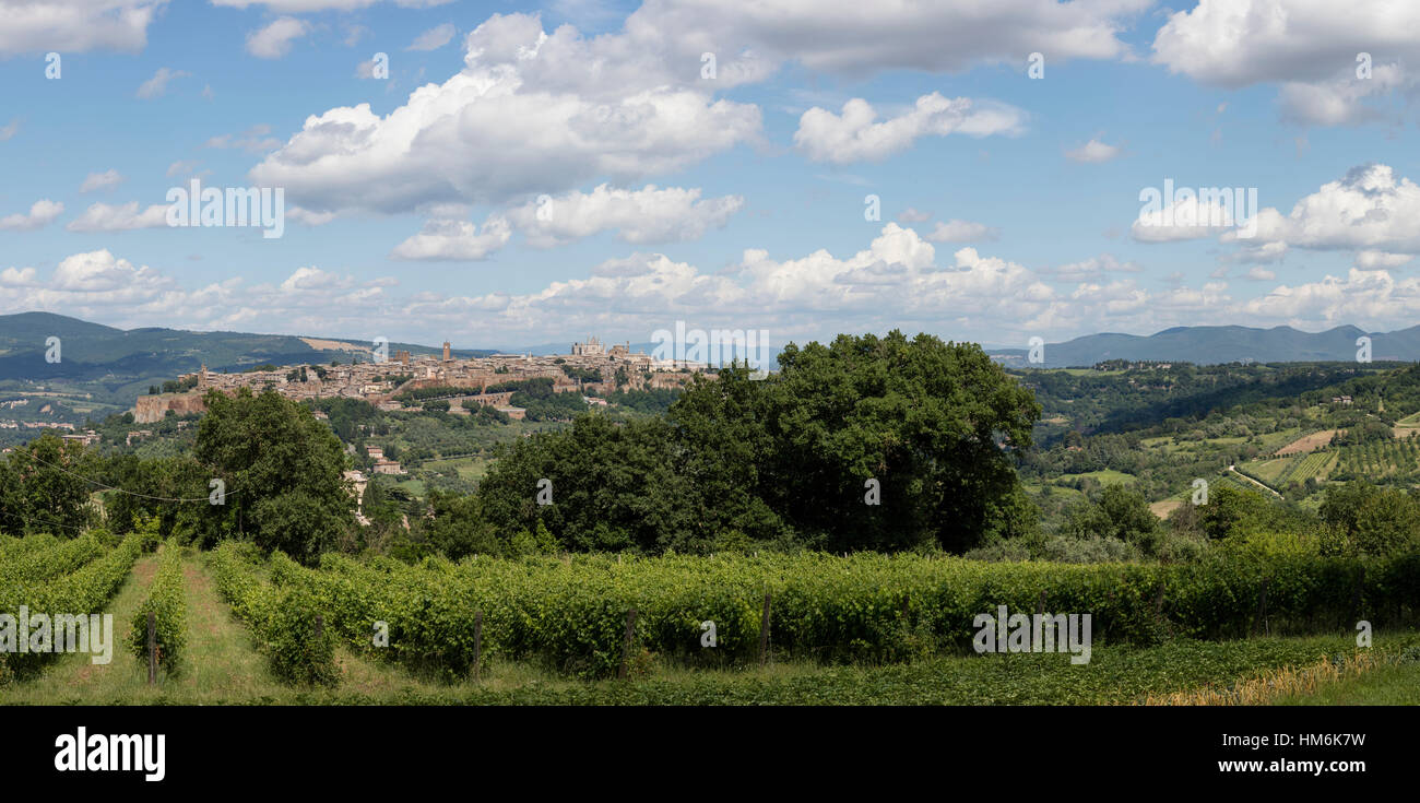 Stadtbild von Orvieto auf die umliegenden Weinberge, Italien, Umbrien, panorama Stockfoto
