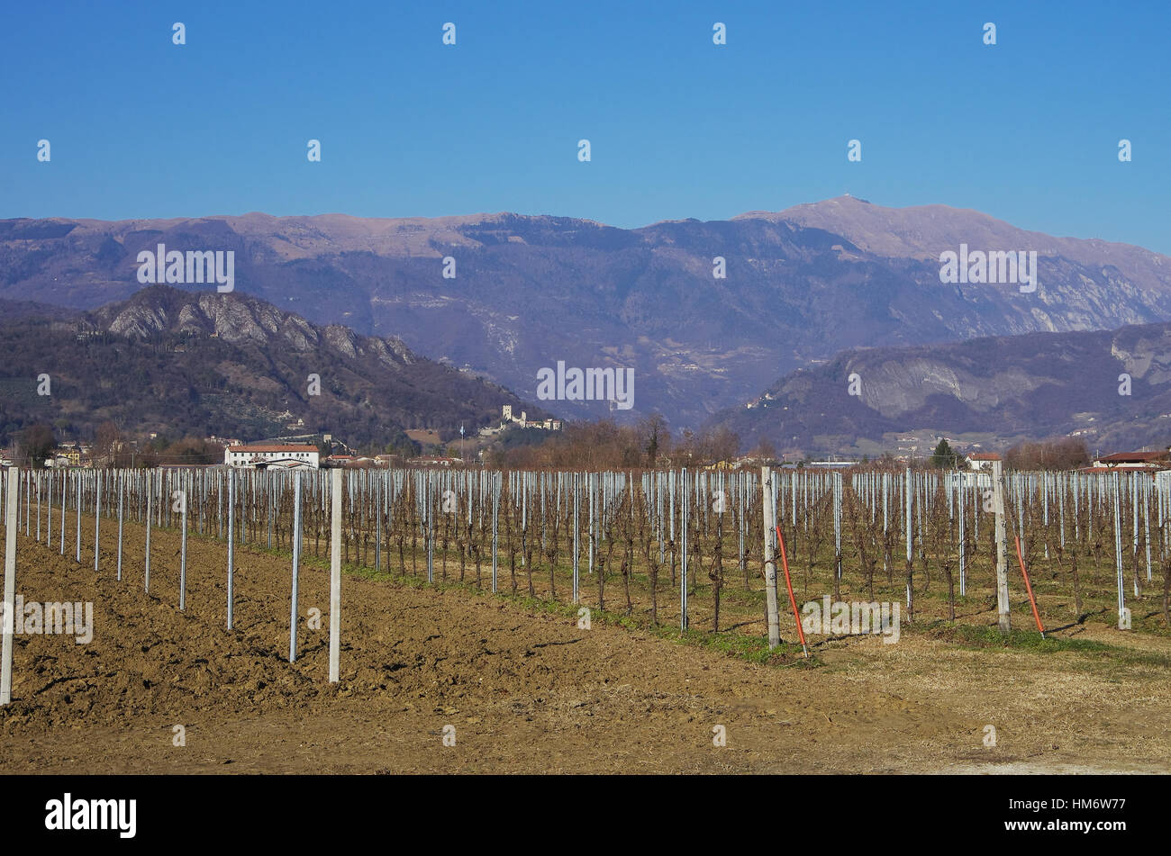 Weingut unter den Hügeln von Vittorio Veneto, die Bischofsburg und den Mt. Visentin im Hintergrund. Herbstfärbung. Stockfoto