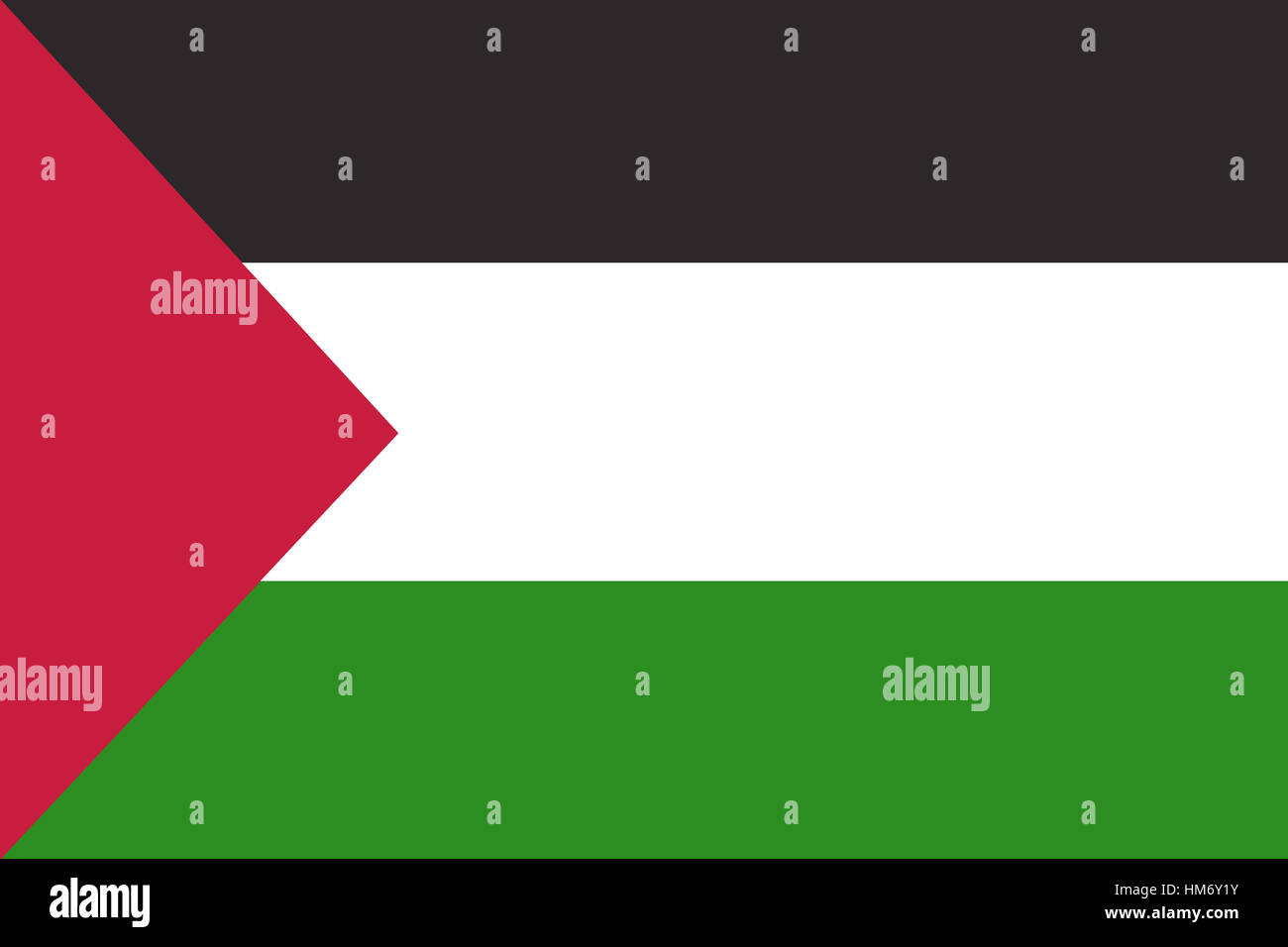 Palästina-Flagge 60 X 90 Cm – Aus 210D Polyester, Wetterfest, Mit Messingösen & Doppelnähten