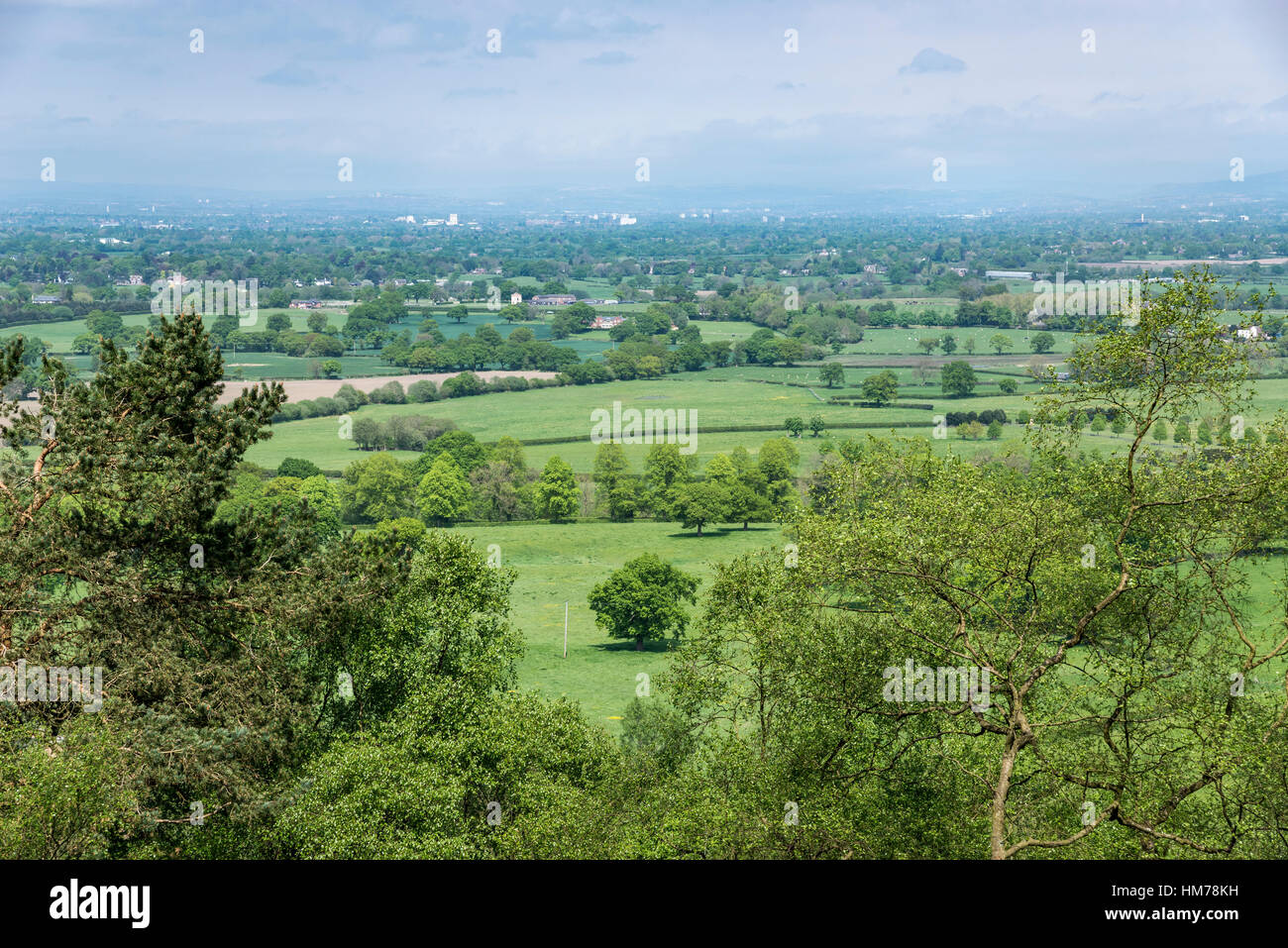 Grüne Felder in die Landschaft von Cheshire von Alderley Edge gesehen. Eine sommerliche englische Landschaft. Stockfoto