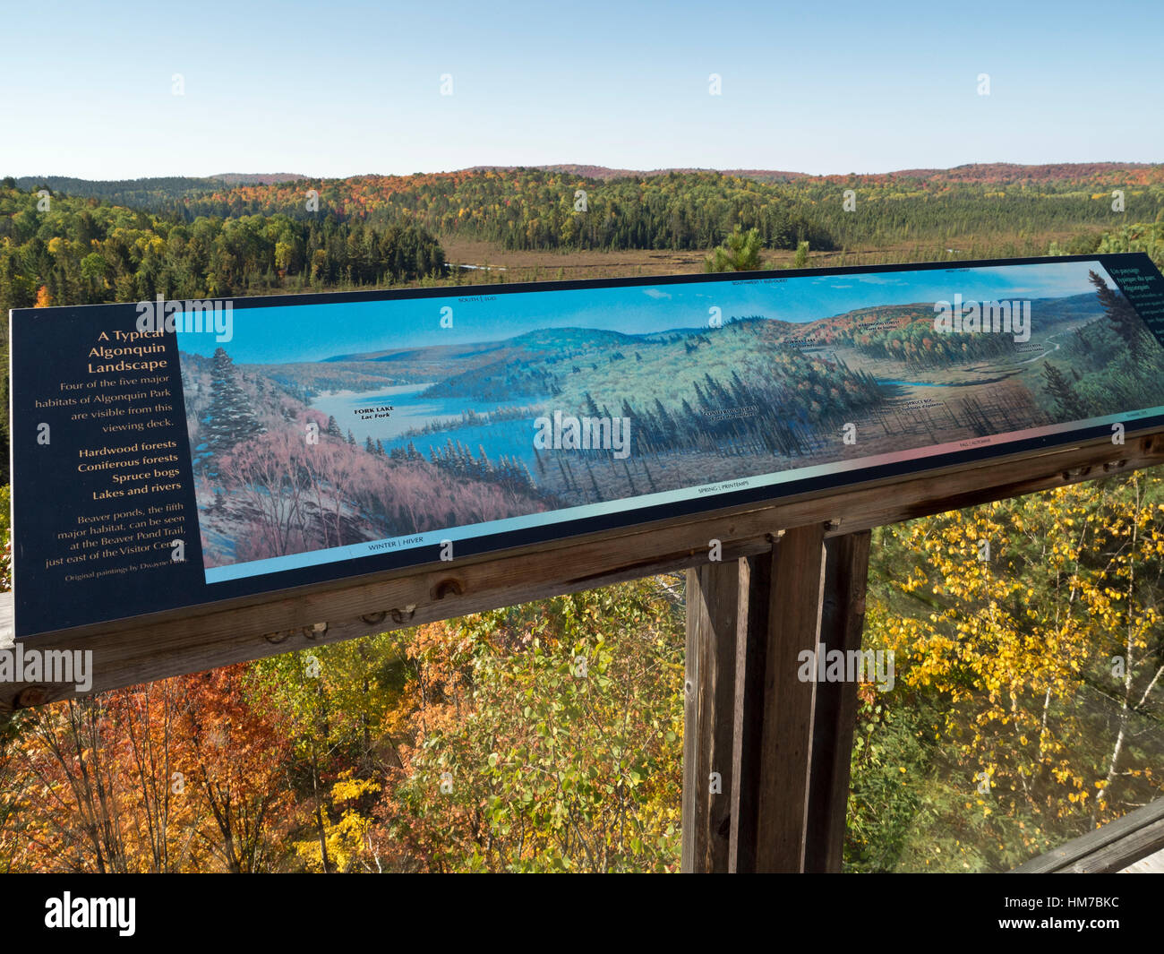 Algonquin Provincial Park, Kanada, Ontario, Herbst, helle Farbe, Wald, frische Luft, Holz, natürliche, Natur, Nordhalbkugel, Natur, Panorama, sonnigen Tag, Bäume, Wildnis, Informationen, Platte, Zeichen, keine Menschen Stockfoto