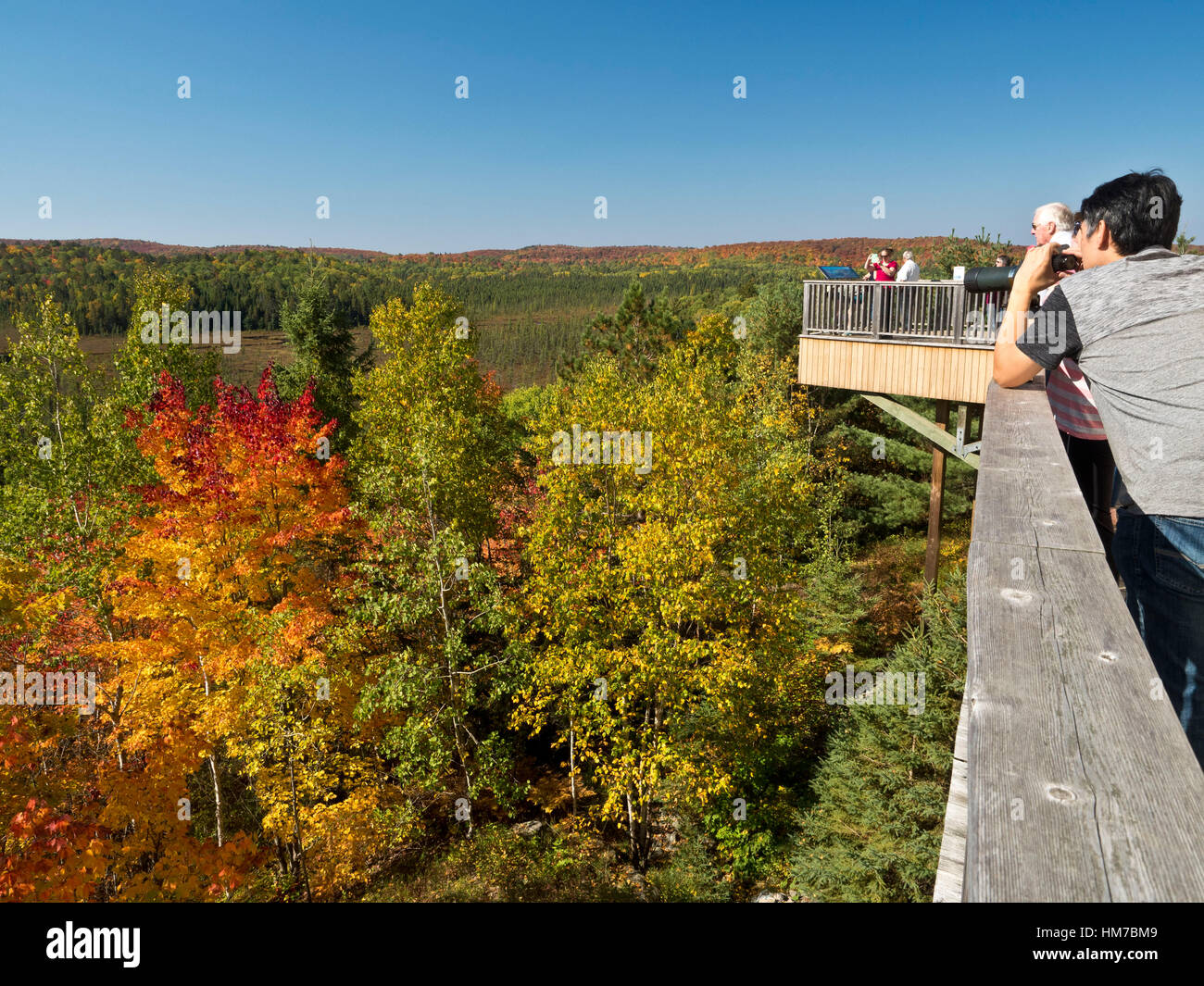 Algonquin Provincial Park, Kanada, Ontario, Herbst, helle Farbe, Wald, frische Luft, Altweibersommer, Holz, natürliche, Natur, Nordhalbkugel, Natur, Panorama, sonnigen Tag, Bäume, Wildnis, bunt, Menschen, Person, Suche, Übersicht, Aussichtspunkt Stockfoto