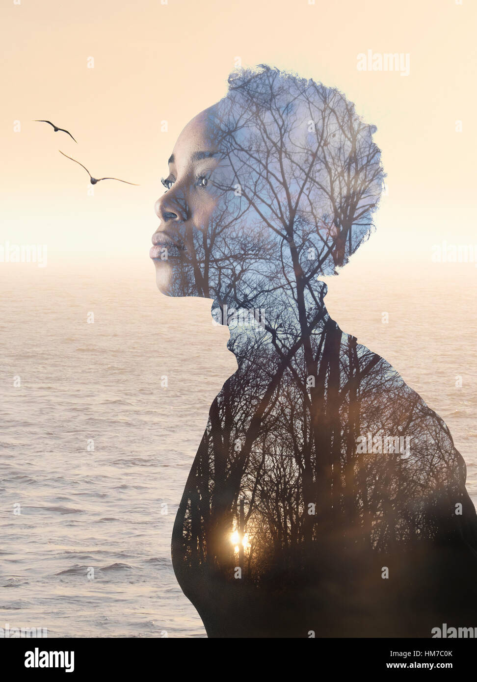 Zusammengesetztes Bild der Frau, Wald- und Seenlandschaft Stockfoto