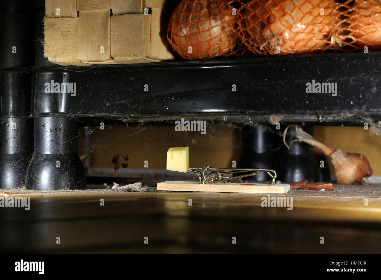 Frühling-Mausefalle mit einem Stück Käse befindet sich im Keller-Abstellraum Stockfoto
