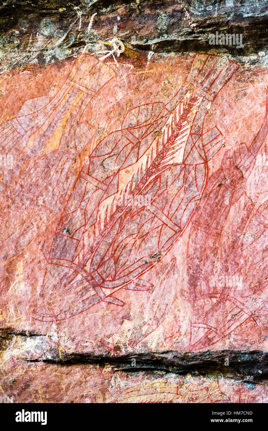 Eine Aborigine Röntgen Rock Malerei Kunstgalerie mit einem Barramundi Fisch. Stockfoto