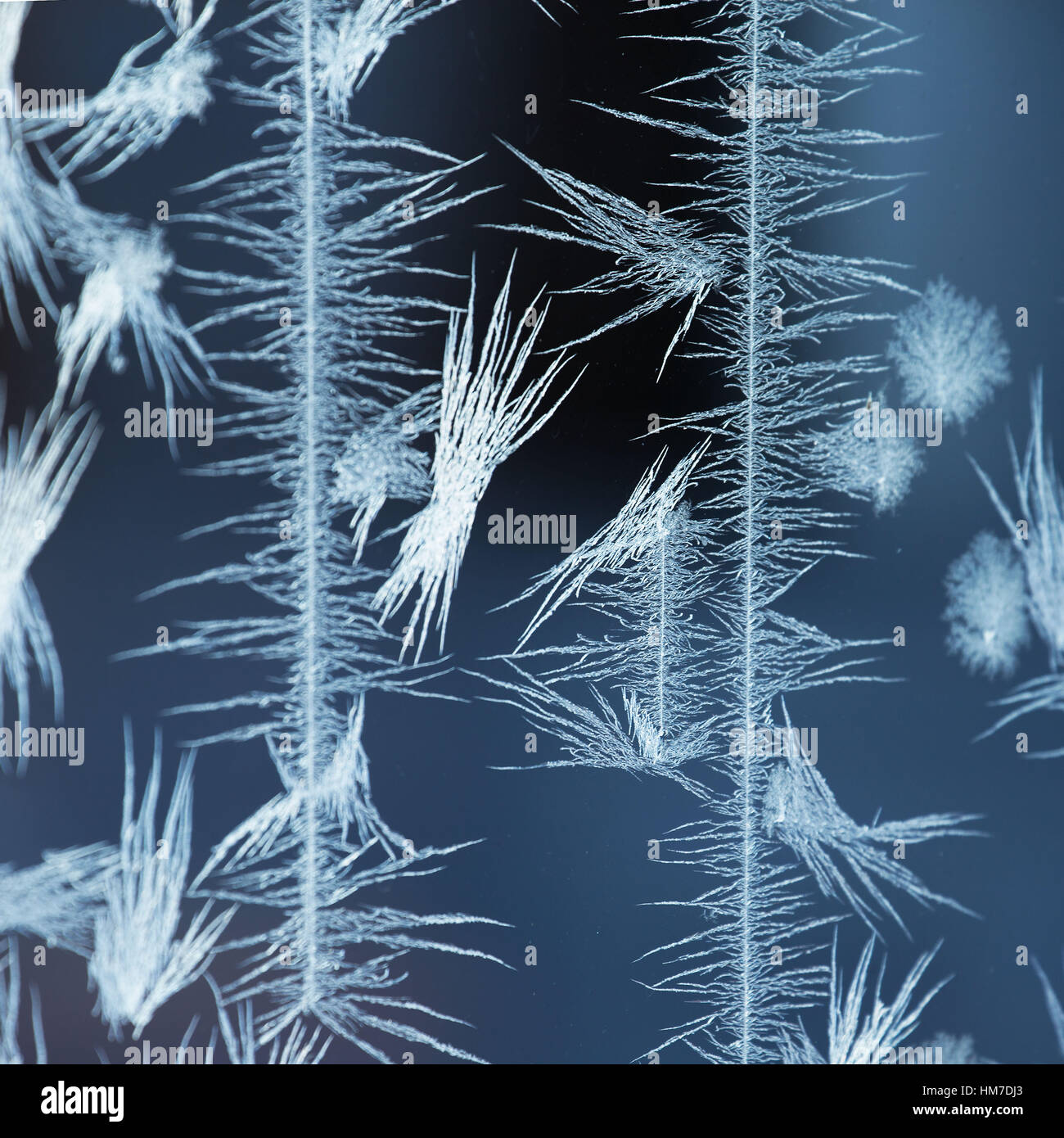 Get Phantasie fantasie HD Phantasie Fantasie