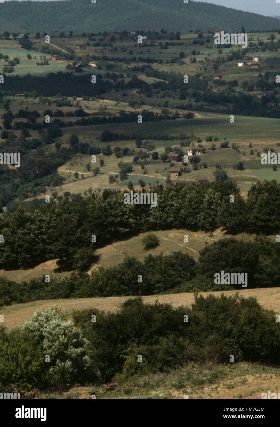 Topolnica Tal Stockfotos und bilder Kaufen Alamy