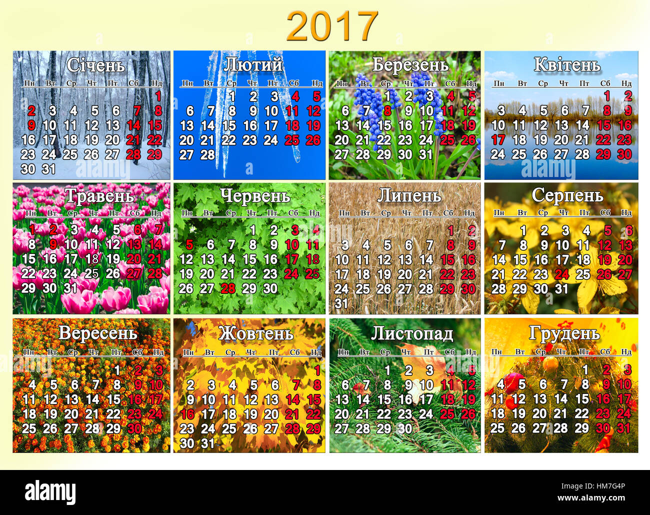 Kalender für das Jahr 2017 in ukrainischer Sprache mit Feiertage und arbeitsfreie Tage mit Foto der Natur für jeden Monat Stockfoto