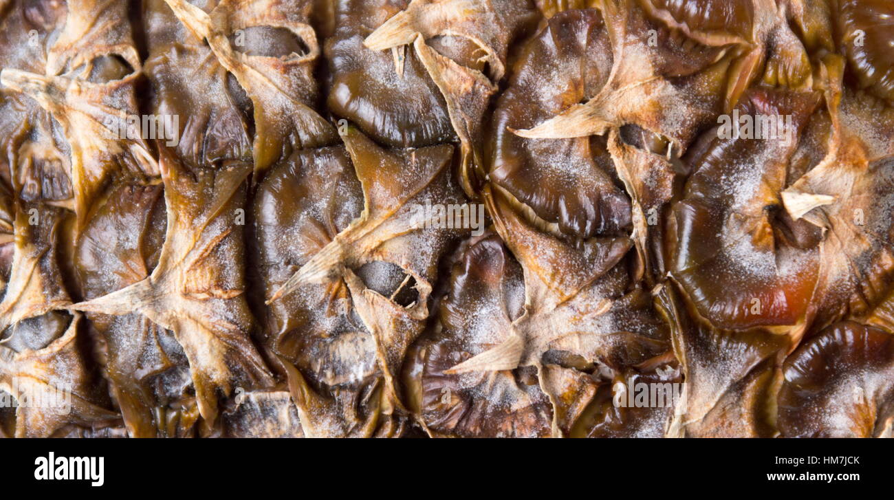 Ananas Obst Schale Hintergrundmuster hautnah Stockfoto