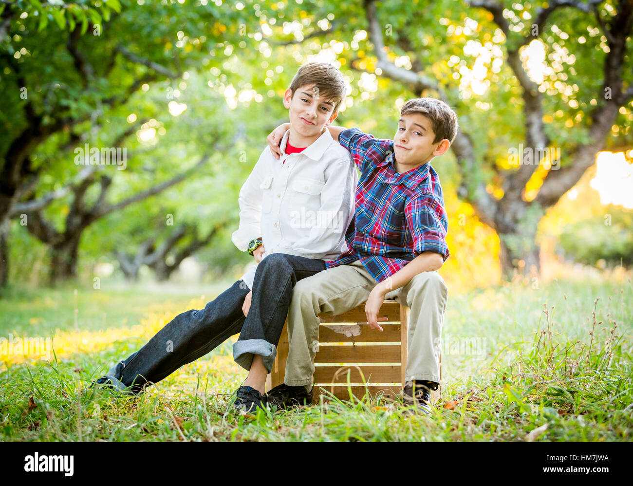 Lächelnde Brüder umarmen im Kirschgarten Stockfoto