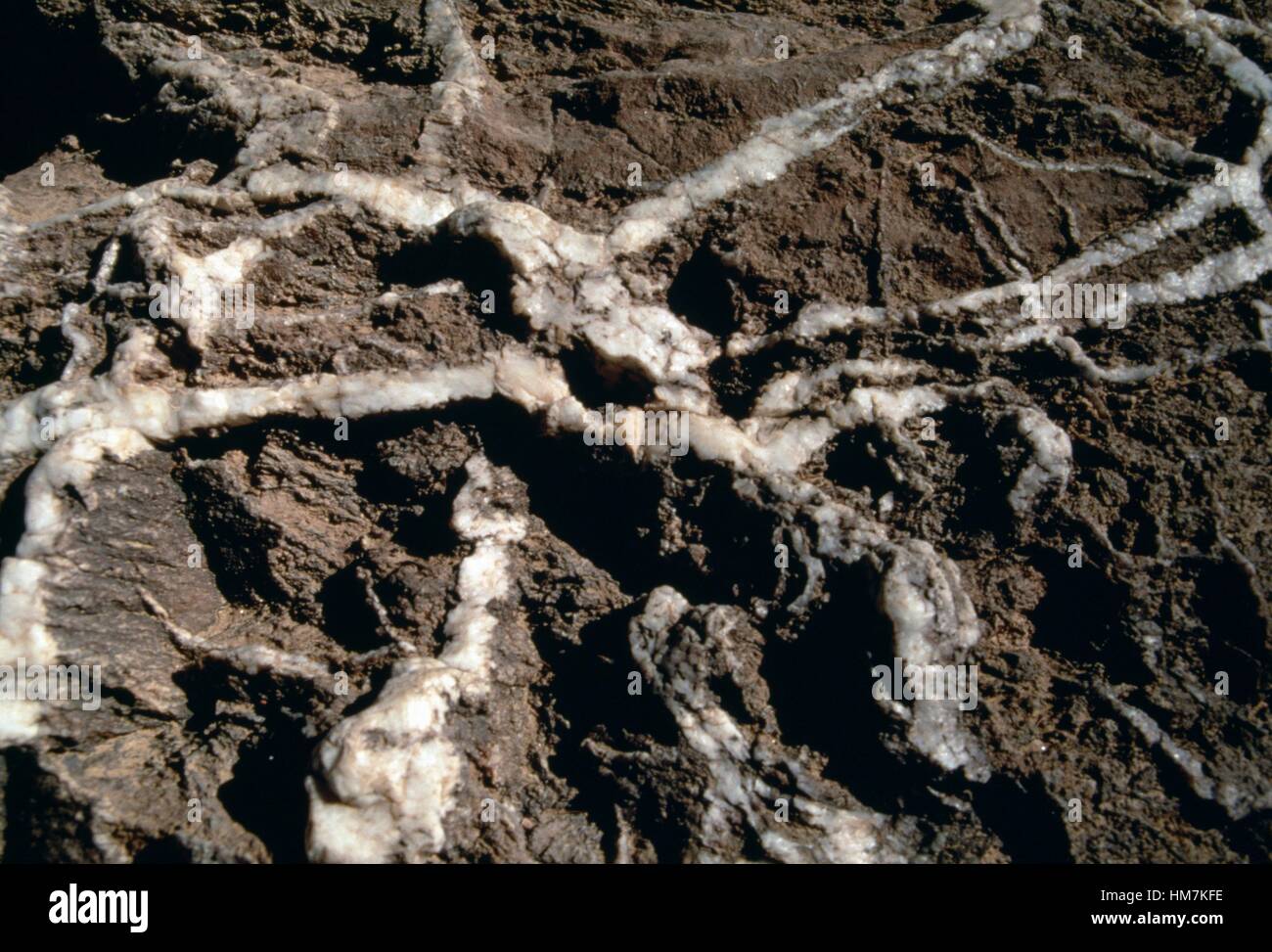 Goldhaltigen Quarzader, Wadi Allaqi, Nubische Wüste im Sudan. Stockfoto