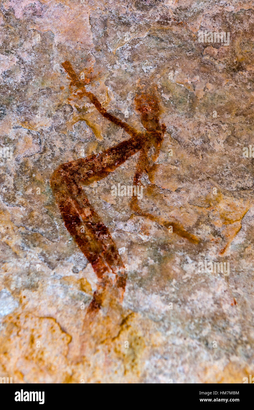 Alten Felsmalereien der Aborigines Gwion Gwion wissen auch wie Bradshaw Felszeichnungen mit einem Tierfiguren 50.000 Jahre alten an einer Höhlenwand schätzungsweise. Stockfoto
