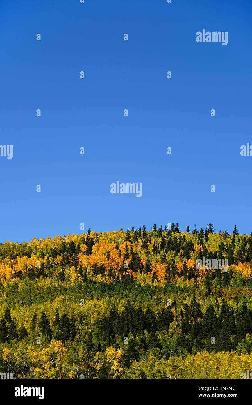 USA, Colorado, malerischen Blick auf Kenosha Pass mit blauem Himmel Stockfoto