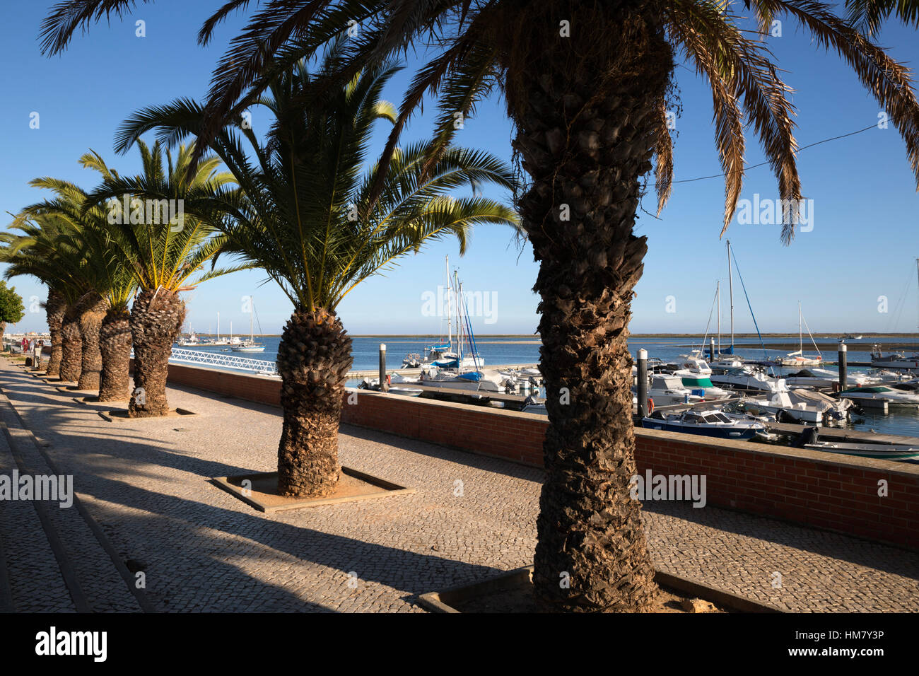 Palm von Bäumen gesäumten Promenade, Olhao, Algarve, Portugal, Europa Stockfoto