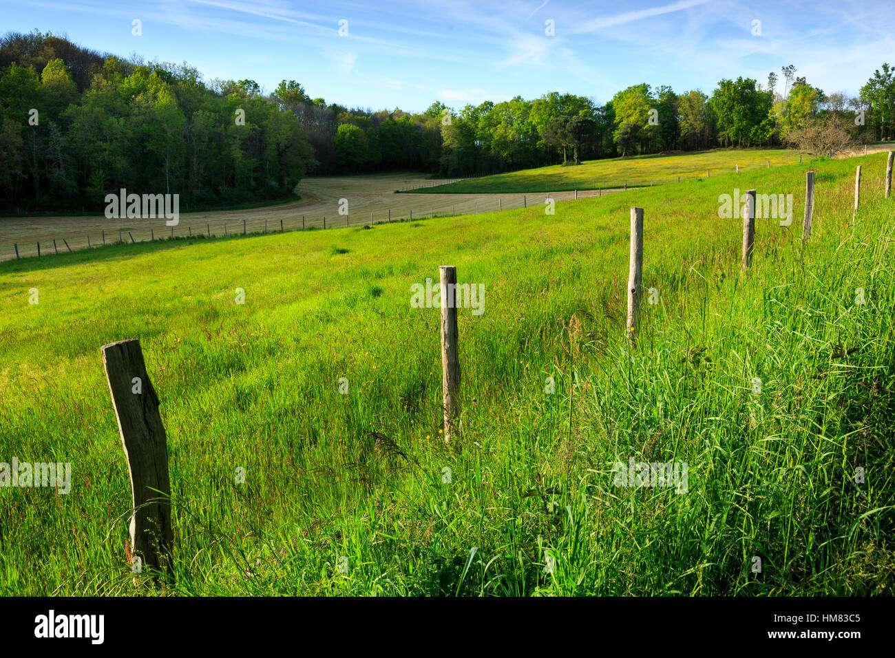 Blick auf Felder und den Wald Bessede, Dordogne, Frankreich Stockfoto