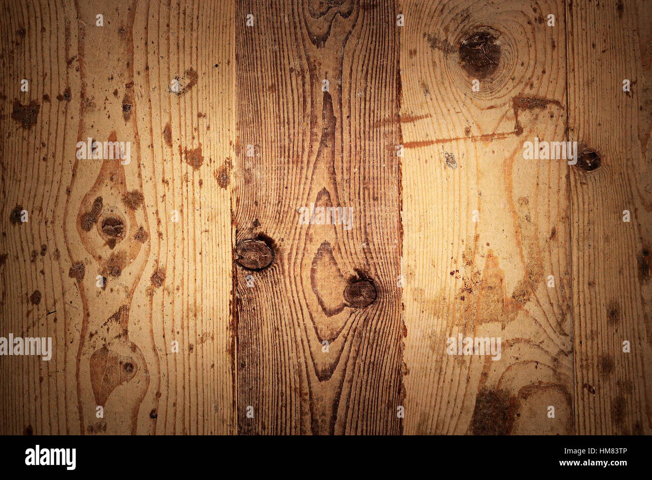 Schöne Fichte Holz Textur bereit für Ihr Interieur design Stockfoto