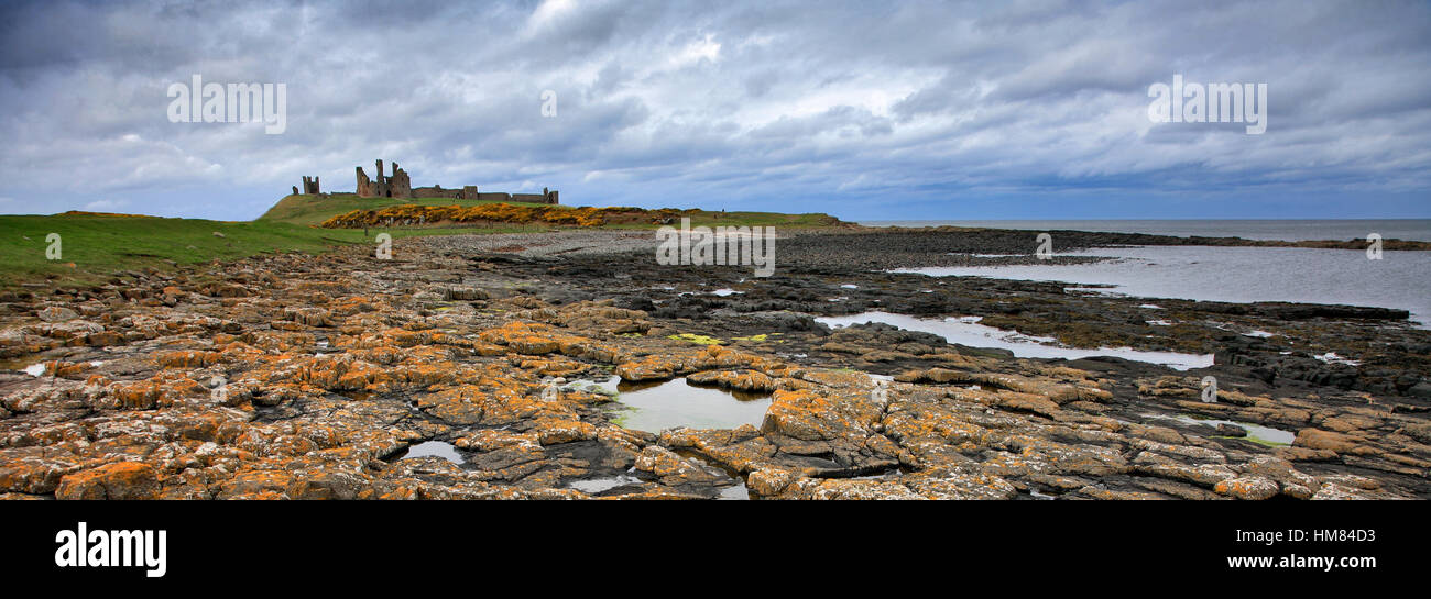 Sommer blauer Himmel, Dunstanburgh Castle, North Northumbrian Küste Northumbria Northumberland England Stockfoto