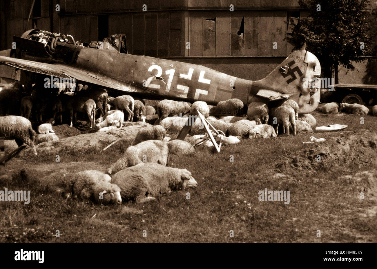 Zerstörte Flugzeug in Nürnberg.  1946. Goddard Sammlung.  (Luftwaffe) Genaues Datum erschossen unbekannte NARA Datei #: 342-CGA-66 Krieg & Konflikt buchen #: 1321 Stockfoto