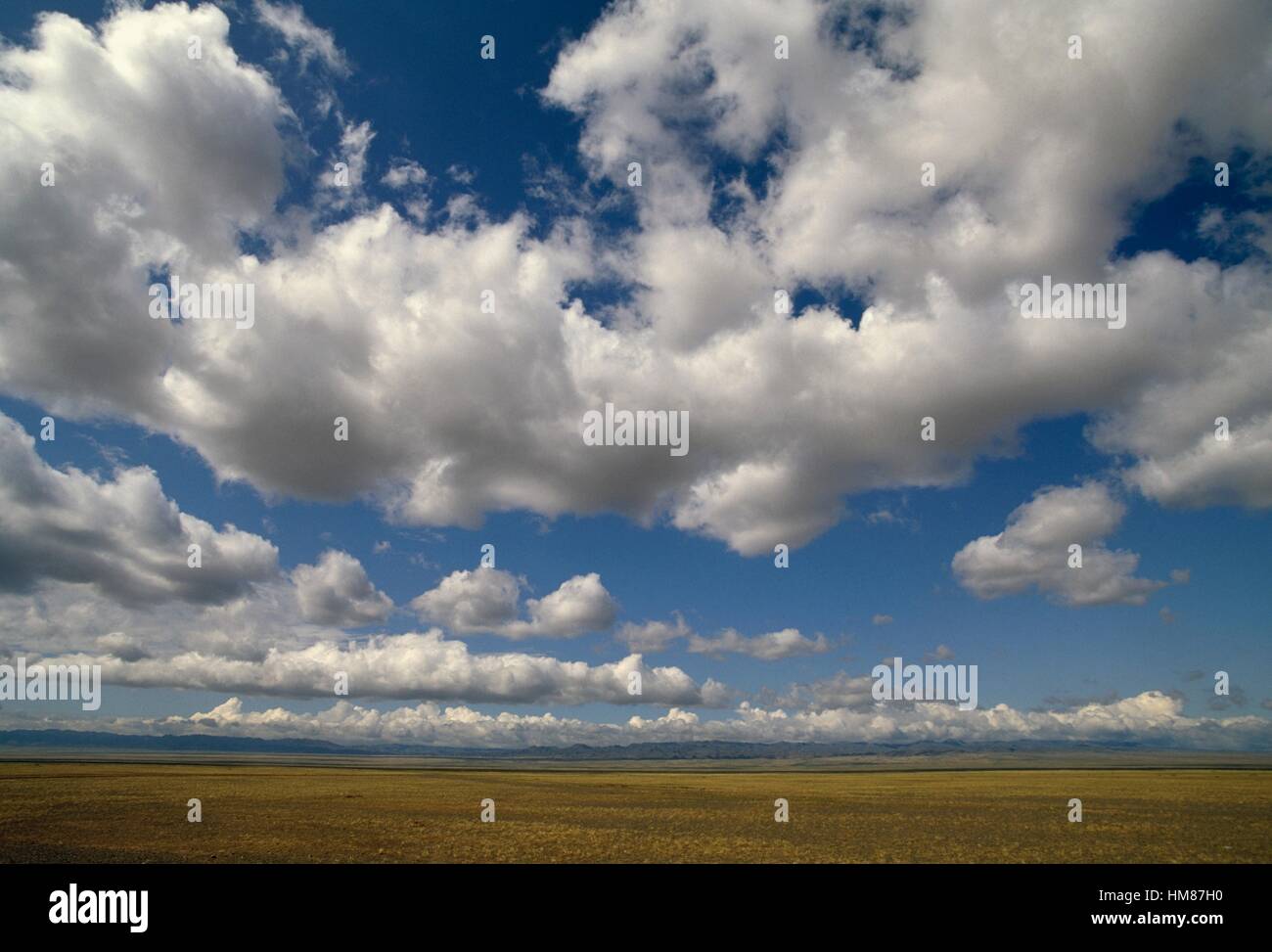 Steppe, Wüste Gobi, Mongolei. Stockfoto