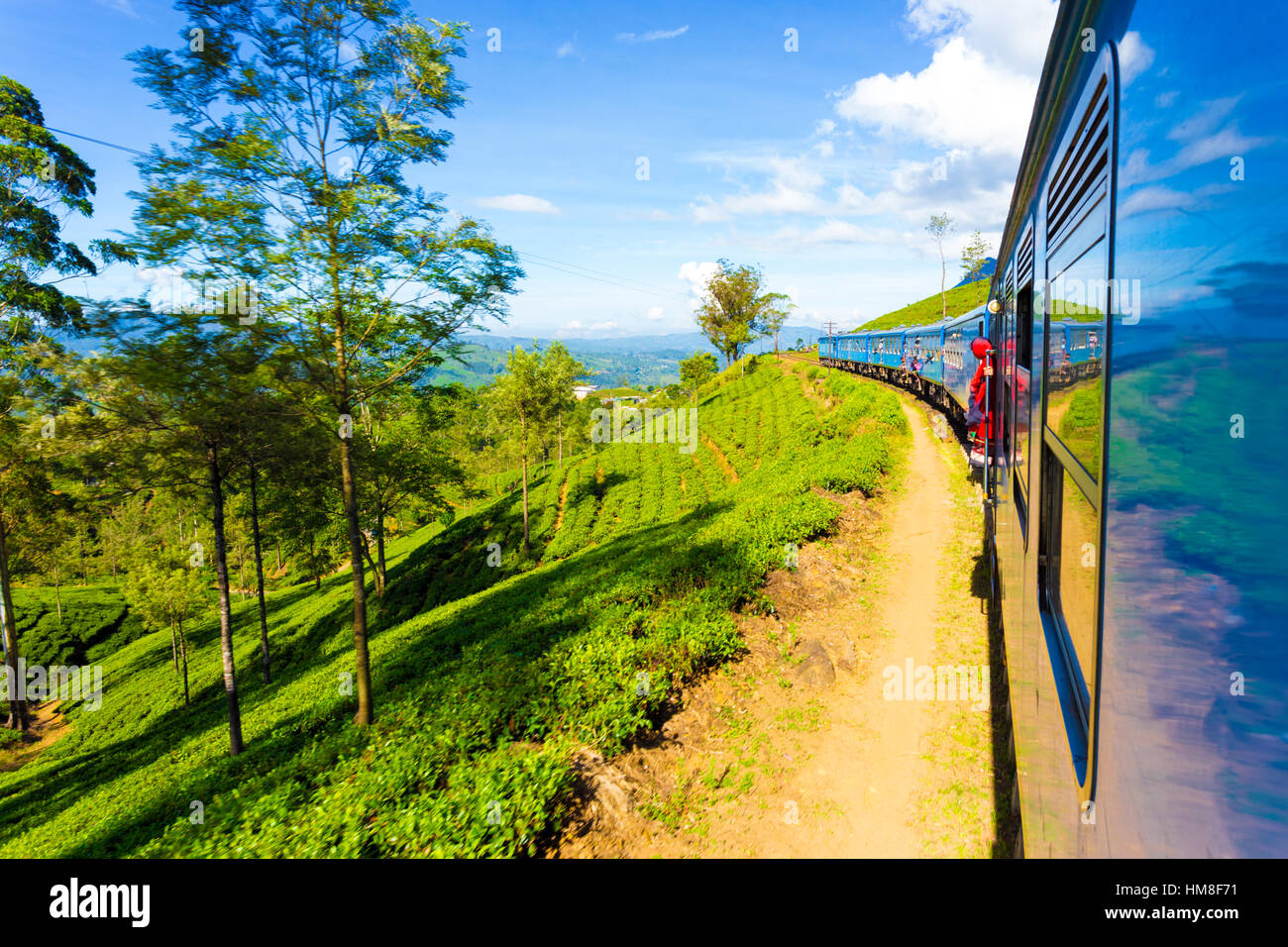 Tee-Plantage Ansicht und ordentlich grüner Teepflanzen gesehen von Seite Außenseite der Passagier Zug geschwungene voraus im Hochland von Sri Lanka Stockfoto