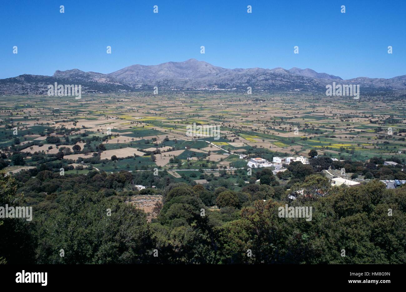 Agrarlandschaft, Bezirk Lassithi, Kreta, Griechenland. Stockfoto