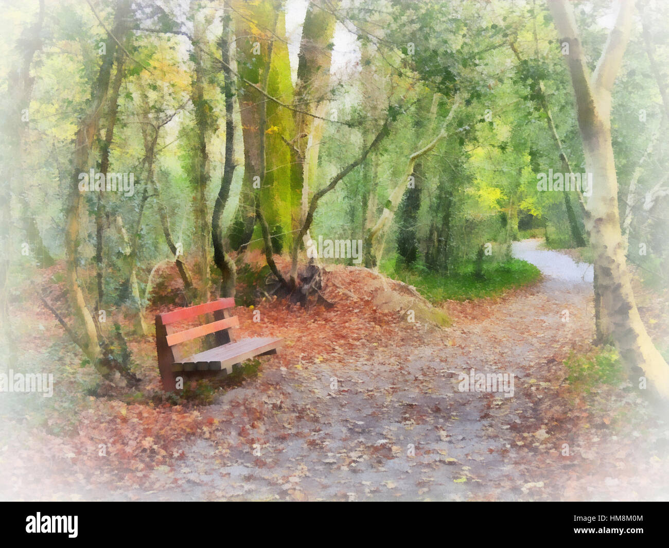 JFK Arboretum, Co. Wexford, Irland.  Der Weg durch den Wald Stockfoto