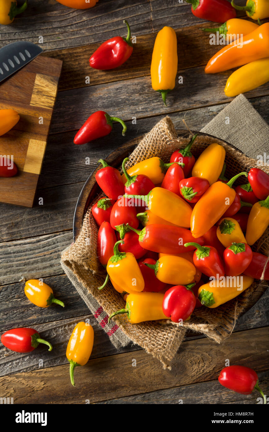 Rohe Bio Mini süße Paprika essfertig Stockfoto
