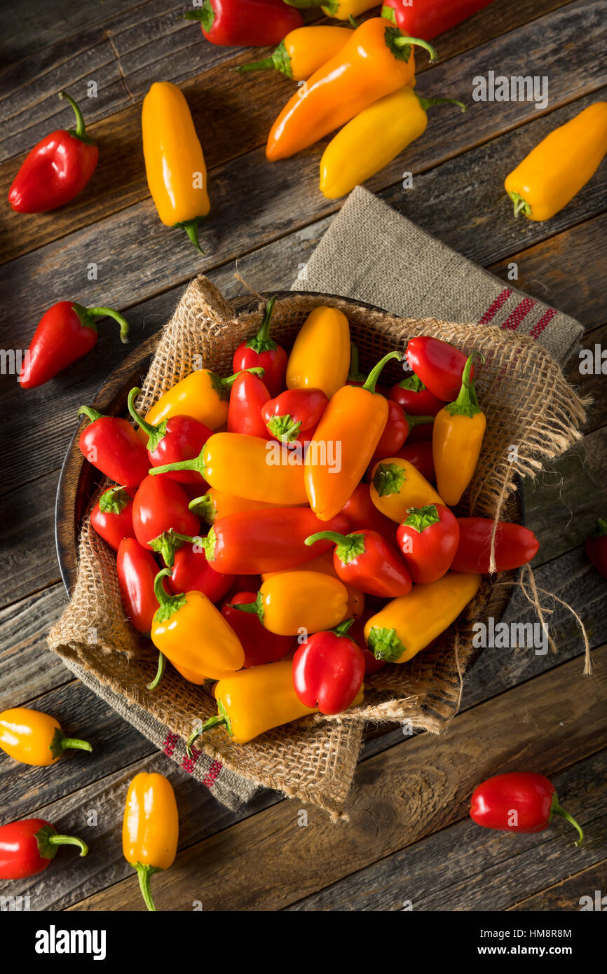 Rohe Bio Mini süße Paprika essfertig Stockfoto