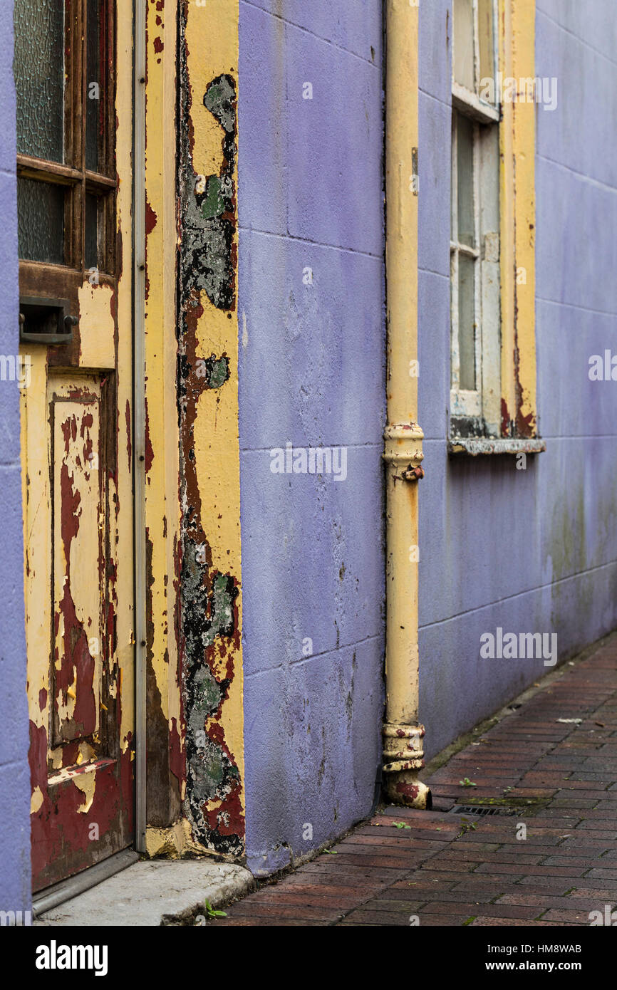 Peeling-Lack auf Tür und Haus Vorderseite in lila und gelb Stockfoto