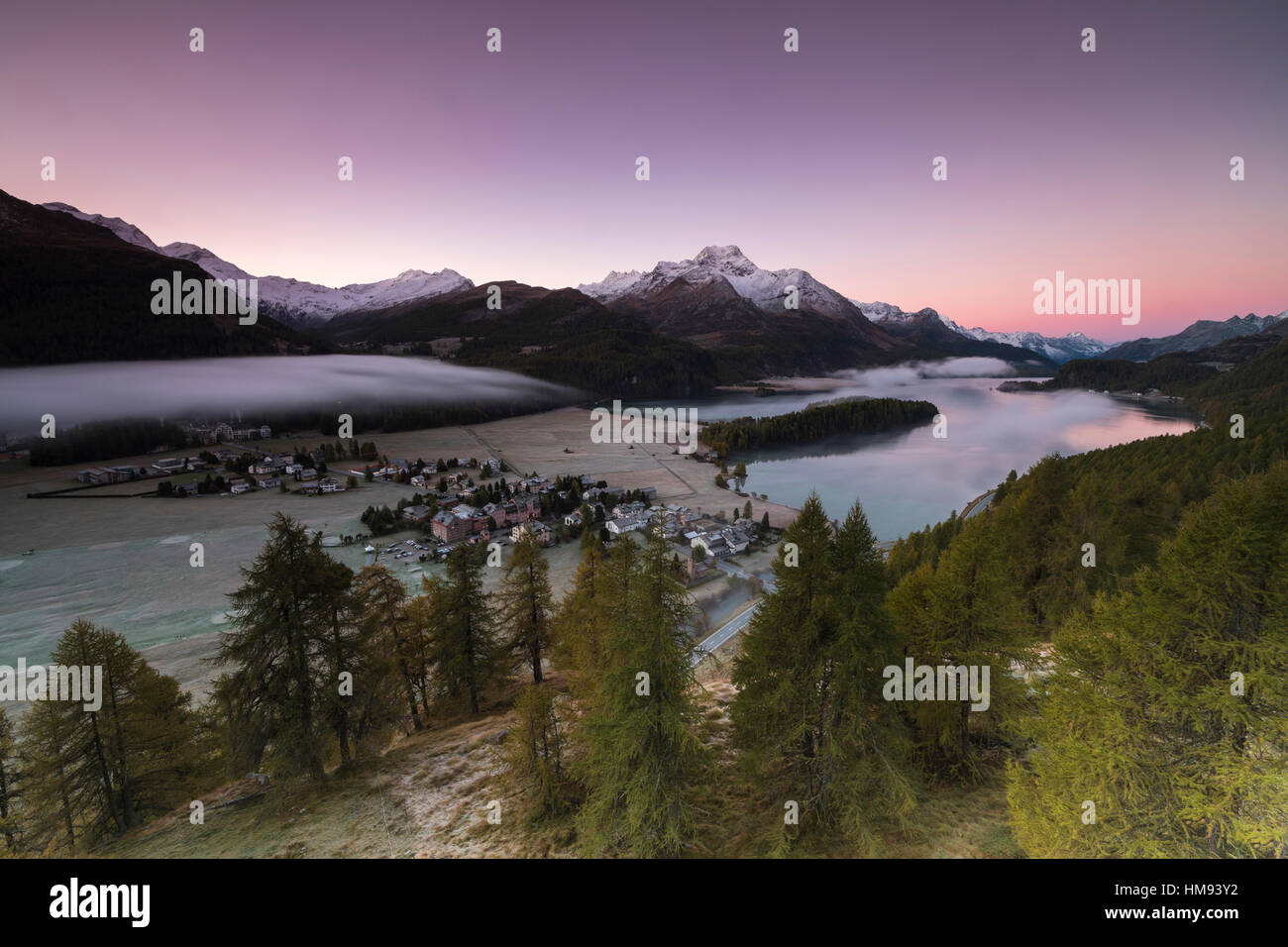 Rosa Himmel bei Sonnenaufgang und Nebel auf den See und die Alpen Dorf von Sils, Kanton Graubünden, Engadin, Schweiz Stockfoto