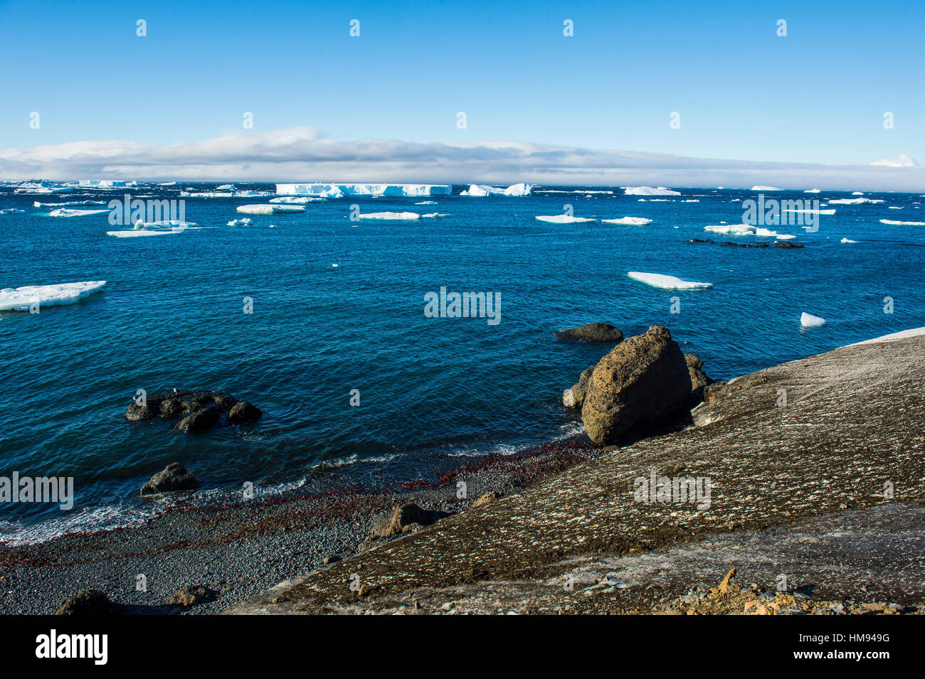 Riesige Eisberge auf Tabarin Halbinsel, Antarktis, Polarregionen Stockfoto