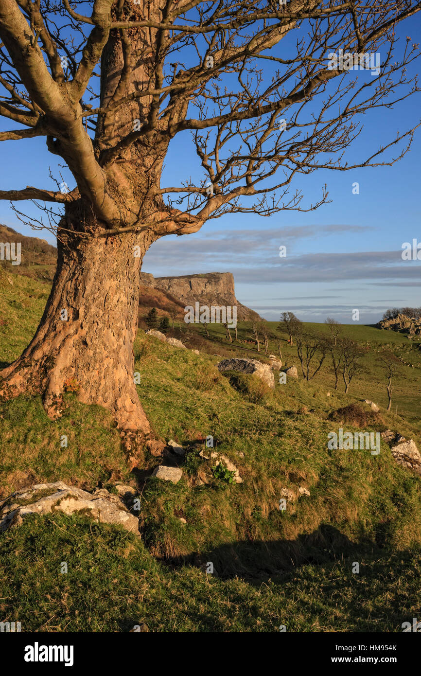 Murlough Bay, Fair Kopf, County Antrim, Ulster, Nordirland, Vereinigtes Königreich Stockfoto