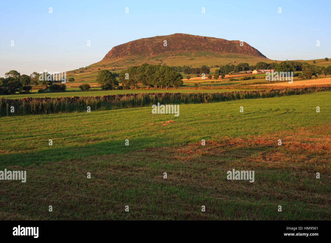 Slemish Mountain, County Antrim, Ulster, Nordirland, Vereinigtes Königreich Stockfoto