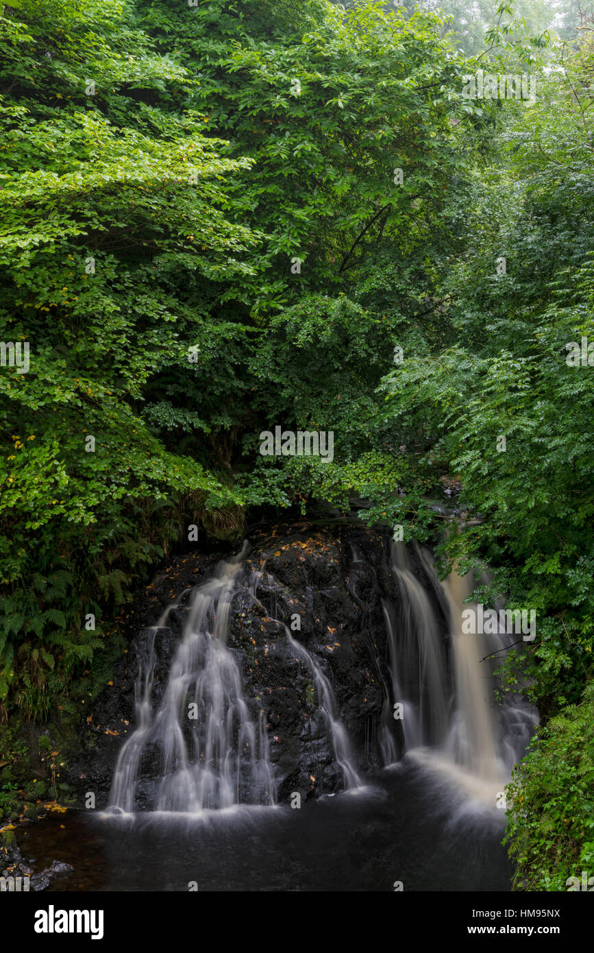 Glenarriff, County Antrim, Ulster, Nordirland, Vereinigtes Königreich Stockfoto