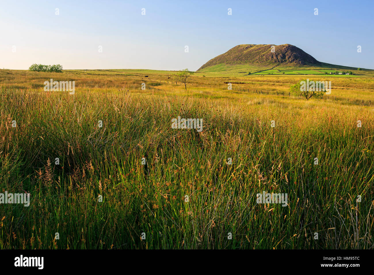 Slemish Mountain, County Antrim, Ulster, Nordirland, Vereinigtes Königreich Stockfoto