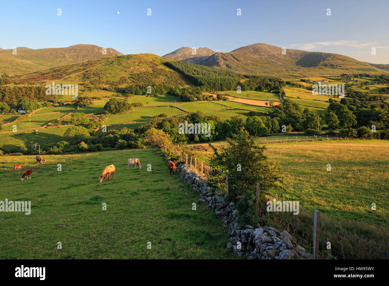 Mourne Mountains, County Down, Ulster, Nordirland, Vereinigtes Königreich Stockfoto