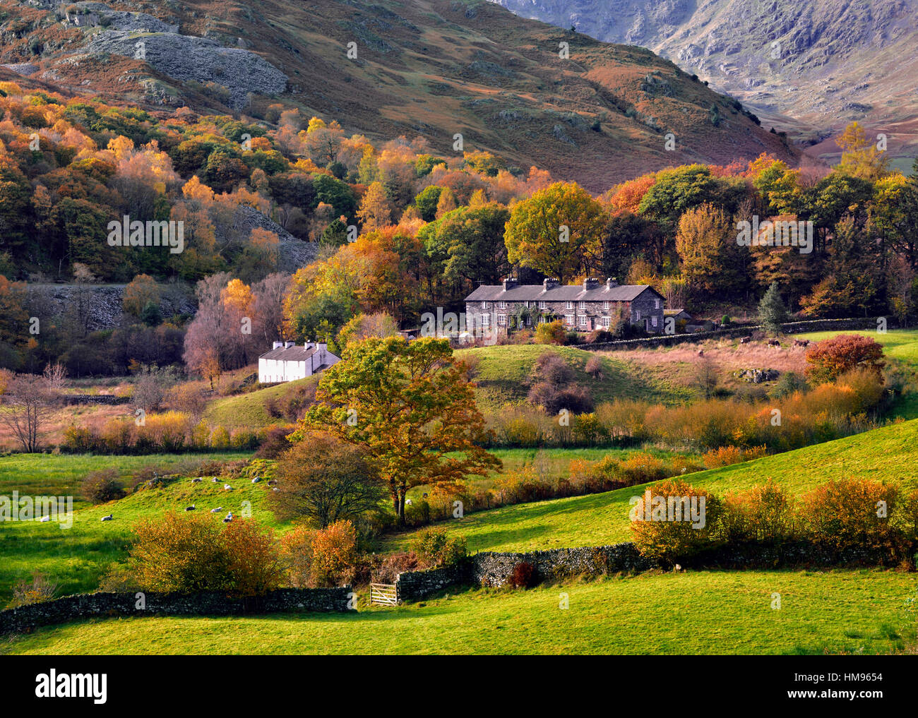 Ein Herbst Blick auf die malerische Langdale Valley, Lake District National Park, Cumbria, England, Vereinigtes Königreich Stockfoto