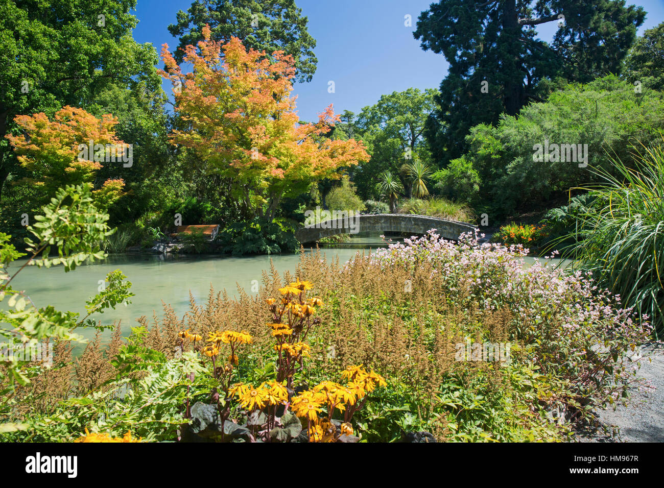 Der Wassergarten, Christchurch Botanic Gardens, Christchurch, Canterbury, Südinsel, Neuseeland, Pazifik Stockfoto