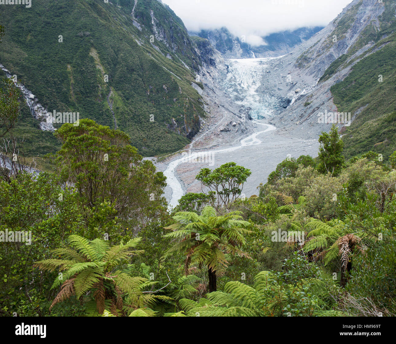 Blick auf den Fox-Gletscher vom Chalet Lookout Track, Fox Gletscher, Westland Tai Poutini National Park, West Coast, Neuseeland Stockfoto