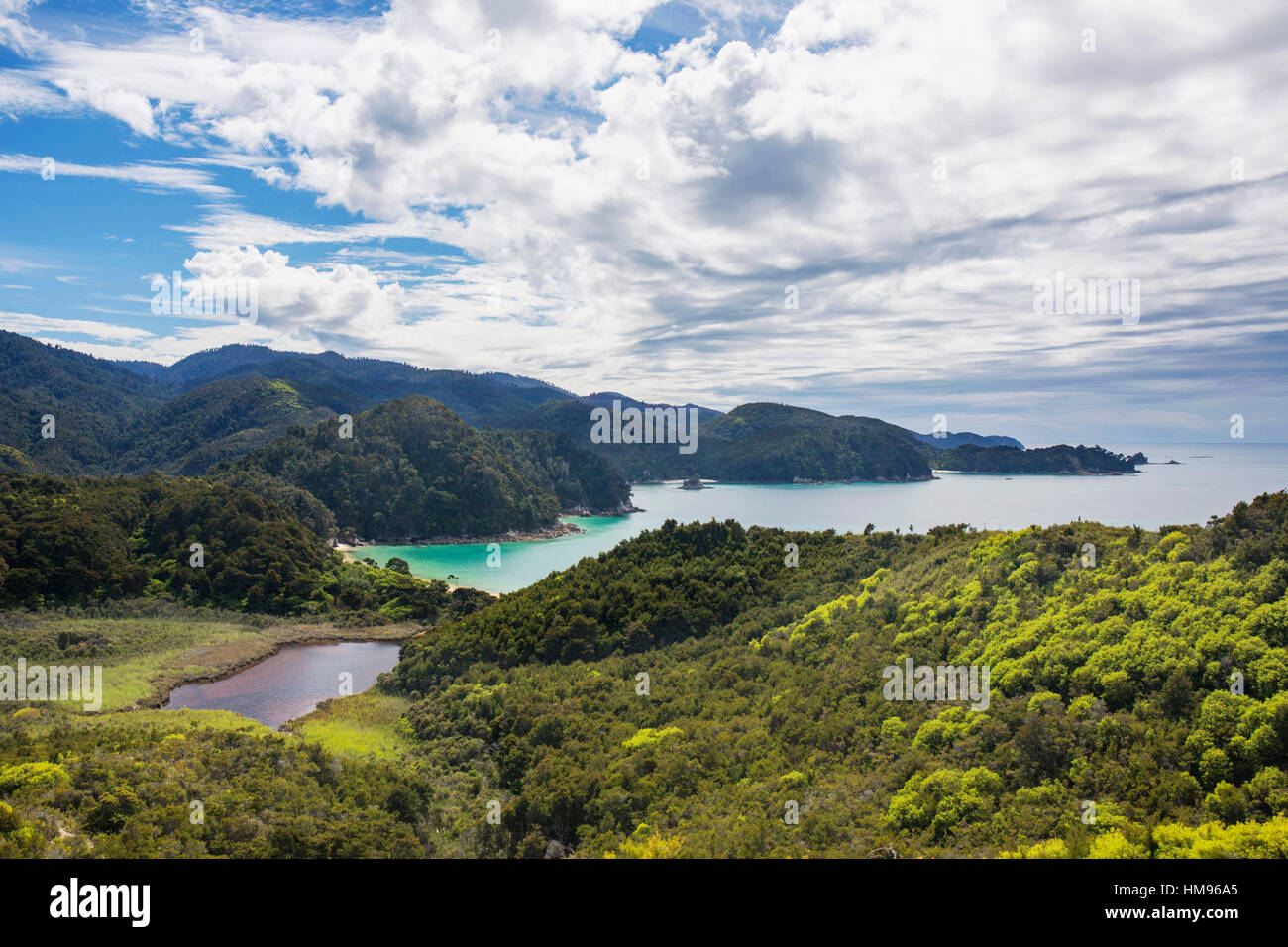 Blick über Torrent Bay aus dem Abel Tasman Coast Track, Abel Tasman National Park, in der Nähe von Marahau, Tasman, Neuseeland Stockfoto