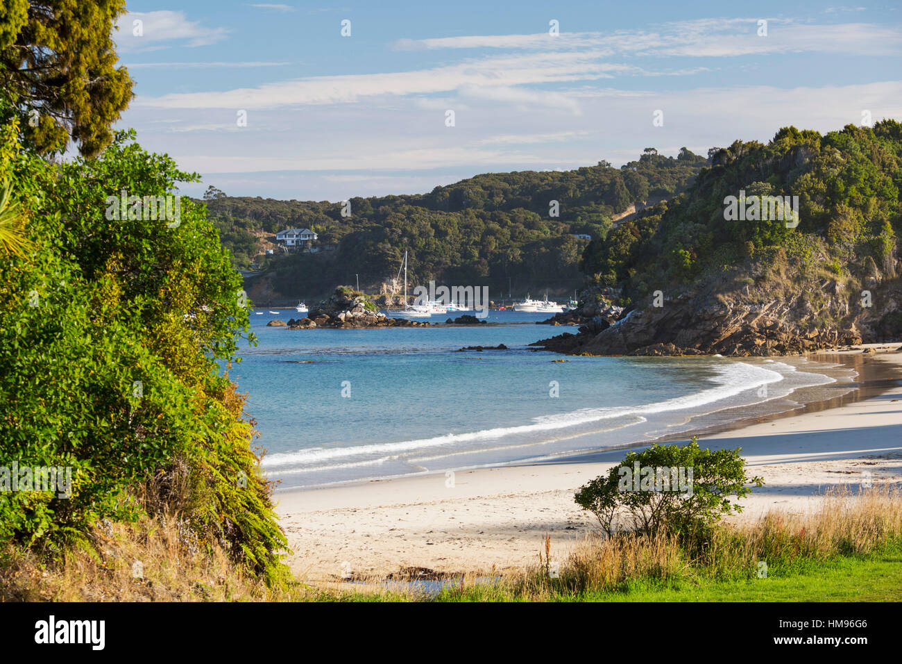 Blick über Butterfield Strand, Halfmoon Bay, Oban, Stewart Island, Southland, Südinsel, Neuseeland, Pazifik Stockfoto