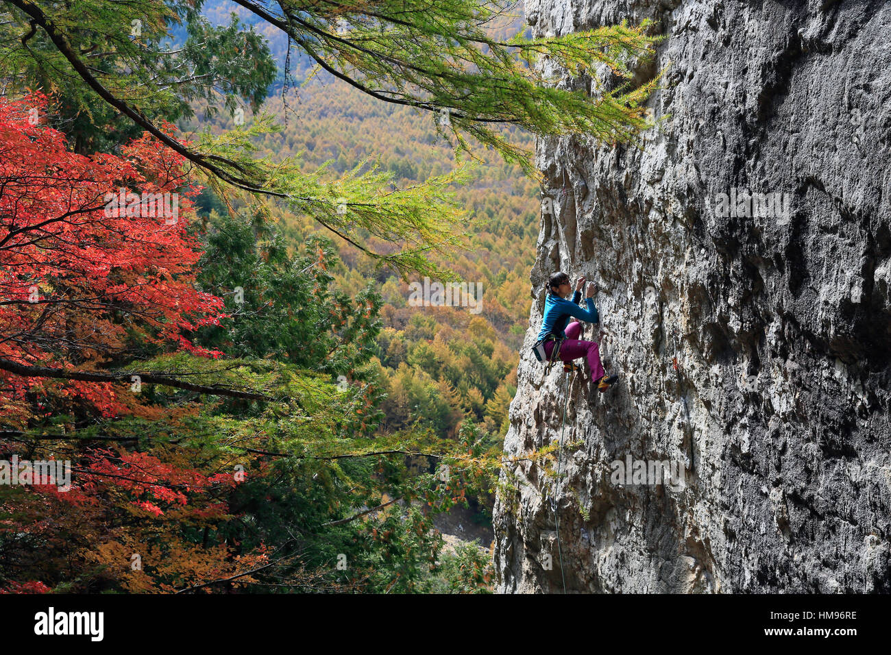 Eine Frau Klettern am Ogawayama, ein Berg an der Grenze der Präfekturen Nagano und Yamanashi, Honshu, Japan Stockfoto