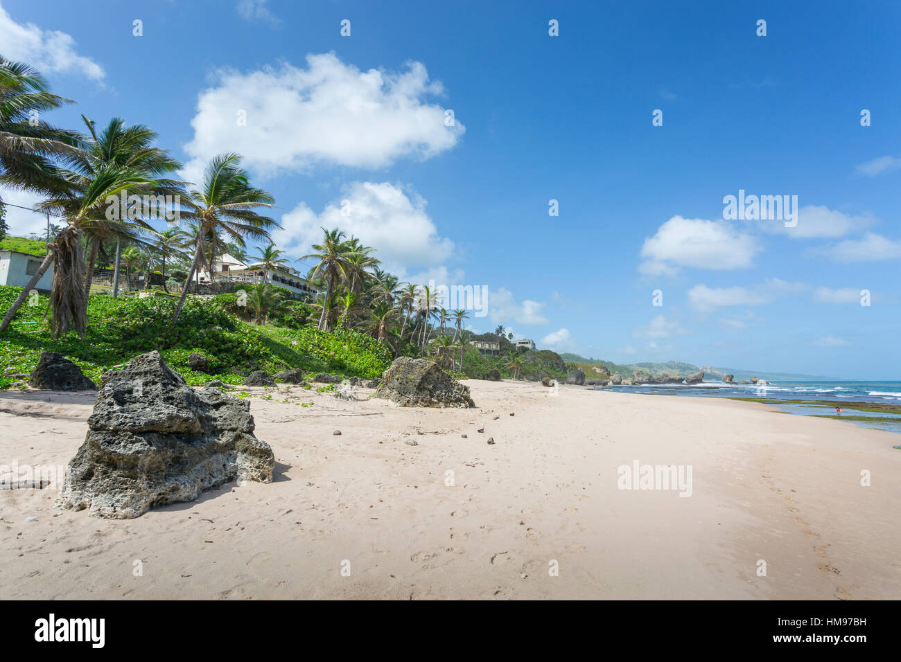 Bathsheba Beach, Bathseba, St. Joseph, Barbados, West Indies, Karibik, Mittelamerika Stockfoto