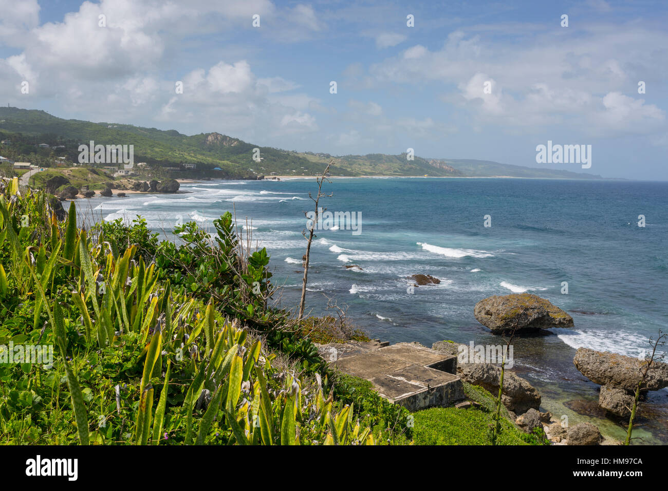 Bathsheba, St. Joseph, Barbados, Karibik, Karibik, Mittelamerika Stockfoto