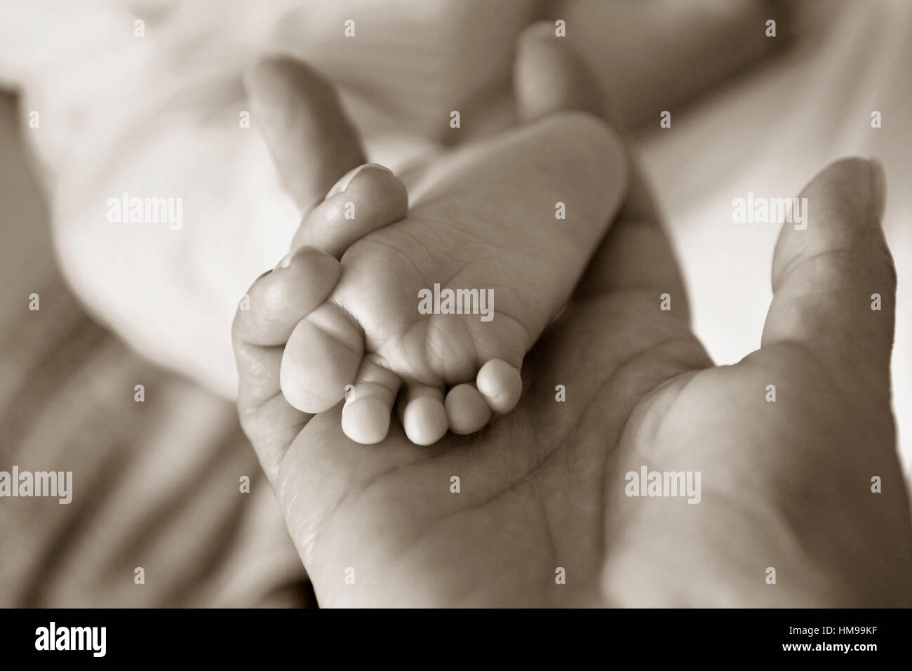 Übergeordneten Hand halten Baby Mädchen Beine Stockfoto