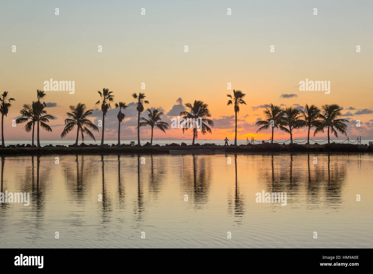 PALMEN-REFLEKTIERENDEN POOL ATOLL MATHESON HÄNGEMATTE COUNTY PARK MIAMI FLORIDA USA Stockfoto