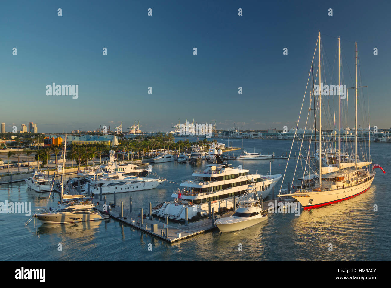 SUPERYACHTEN VERTÄUT AM INSEL GÄRTEN MARINA WATSON ISLAND REGIERUNG SCHNITT HAFEN VON MIAMI FLORIDA VEREINIGTE STAATEN Stockfoto